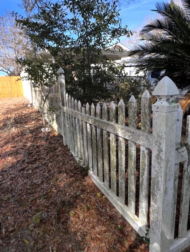 Dirty fence before soft wash
